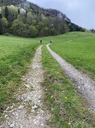 Erlebnispadagogische Tage Der 1. Klassen   2024 04 03 05   20